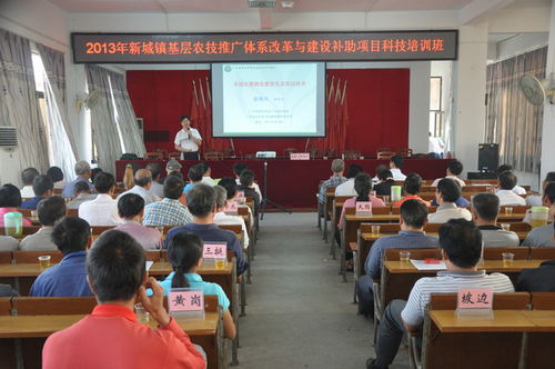 新城鎮農技推廣體系改革與建設補助項目科技培訓班 賦能現代農業，服務鄉村振興